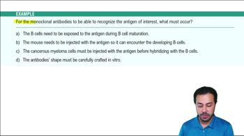 Immunotherapy: Monoclonal Antibodies Example 1