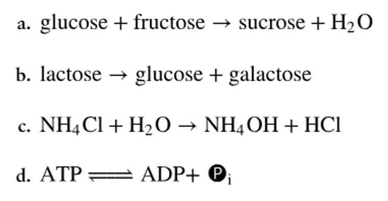 Chemical equations showing synthesis, decomposition, exchange, and energy transfer reactions with molecular formulas.