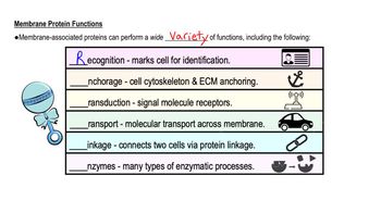 Membrane Protein Functions