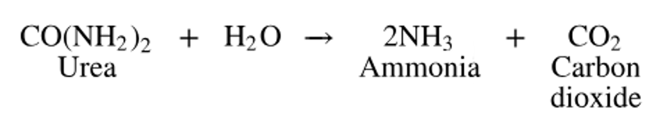 Chemical equation showing urease catalyzing urea and water into ammonia and carbon dioxide.
