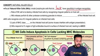 Natural Killer Cells