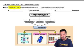 Effects of the Complement System