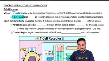 T-Cell Receptors