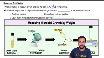 Measuring Total Weight