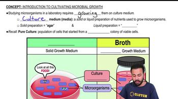 Introduction to Cultivating Microbial Growth