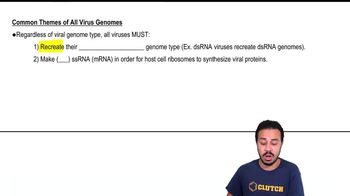 Common Themes of All Virus Genomes