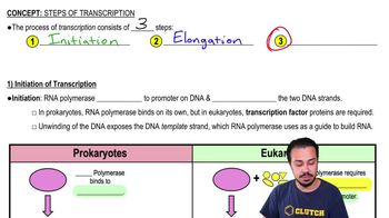 Initiation of Transcription