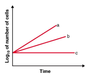 Graph showing three lines labeled a, b, and c depicting different bacterial growth rates over time on a log scale.