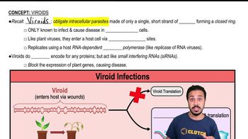 Viroids Are: | Channels For Pearson+