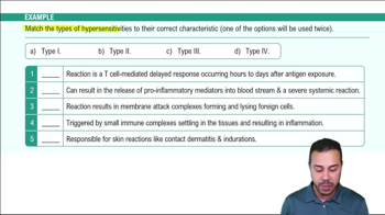Reviewing the 4 Types of Hypersensitivities Example 1