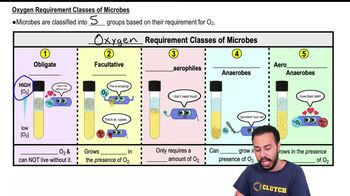Oxygen Requirement Classes of Microbes