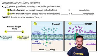 Passive vs. Active Transport