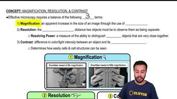 Magnification, Resolution, & Contrast