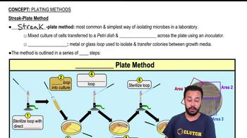 Streak-Plate Method