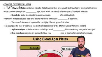 Differential Media