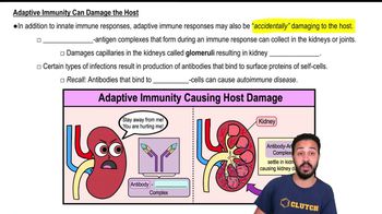 Adaptive Immunity Can Damage the Host