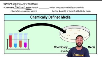 Chemically Defined Media