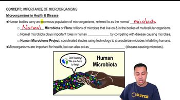 Microorganisms in Health & Disease