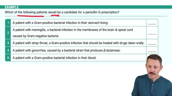 Inhibitors of Cell Wall Synthesis: Beta-lactam & Penicillin Example 1