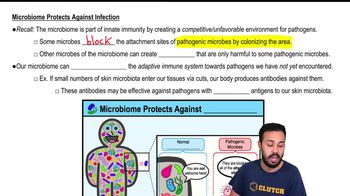 Microbiome Protects Against Infection