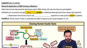 Review & Application of DNA Cloning in Medicine