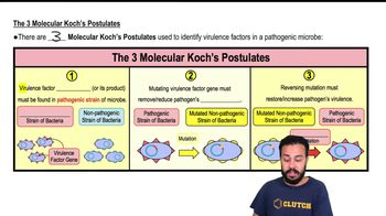 The 3 Molecular Koch's Postulates