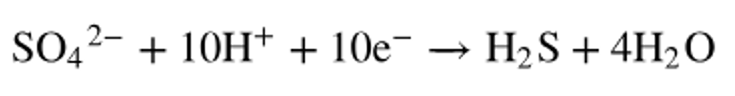 Chemical equation showing sulfate ions reacting with protons and electrons to form hydrogen sulfide and water.