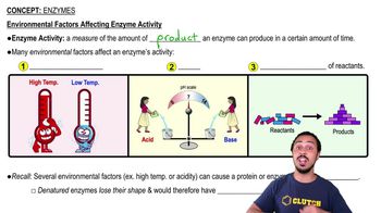 Environmental Factors Affecting Enzyme Activity