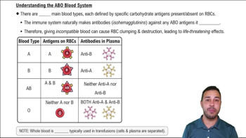 Understanding the ABO Blood System