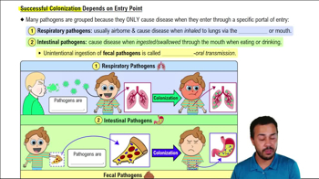 Successful Colonization Depends on Entry Point