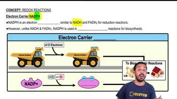 Electron Carrier NADPH