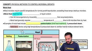 Moist Heat