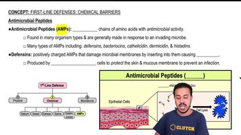 Antimicrobial Peptides