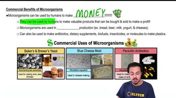 Commercial Benefits of Microorganisms