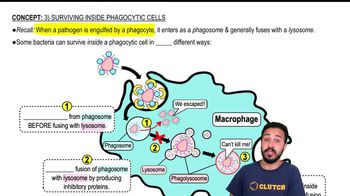 Surviving Inside Phagocytic Cells