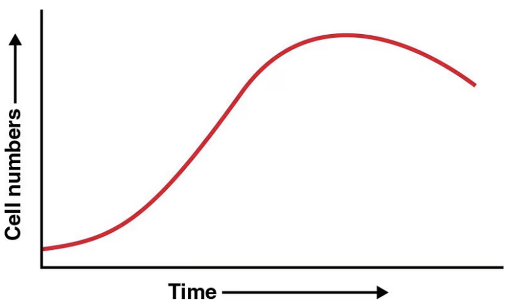 Graph showing microbial growth curve with labeled trophophase, idiophase, and points of primary and secondary metabolite formation.