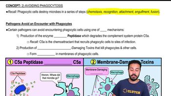 Pathogens Avoid Encounter with Phagocytes