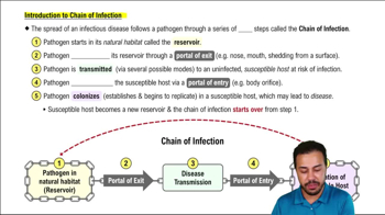Introduction to Chain of Infection