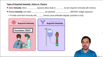 Types of Acquired Immunity: Active vs. Passive