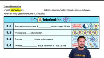 Types of Interleukins
