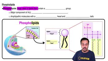 Phospholipids