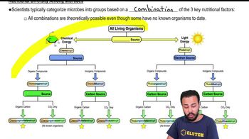 Nutritional Diversity Among Microbes