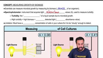 Measuring Growth by Biomass