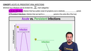 Acute vs. Persistent Viral Infections