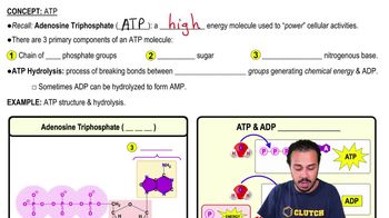 ATP