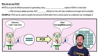 Why do we use PCR?
