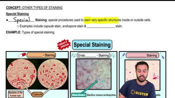 Special Staining