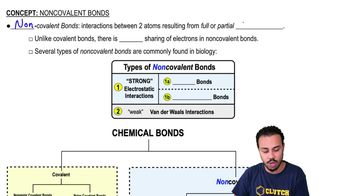 Noncovalent Bonds