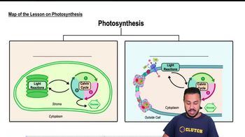 Map of the Lesson on Photosynthesis