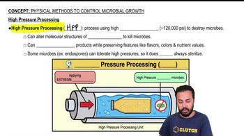 High Pressure Processing